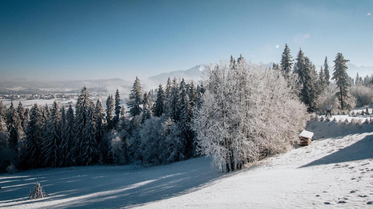 Willa Pachowka - Tam, Gdzie Natura Spotyka Sie Z Nowoczesnoscia Bukowina Tatrzańska Exterior foto