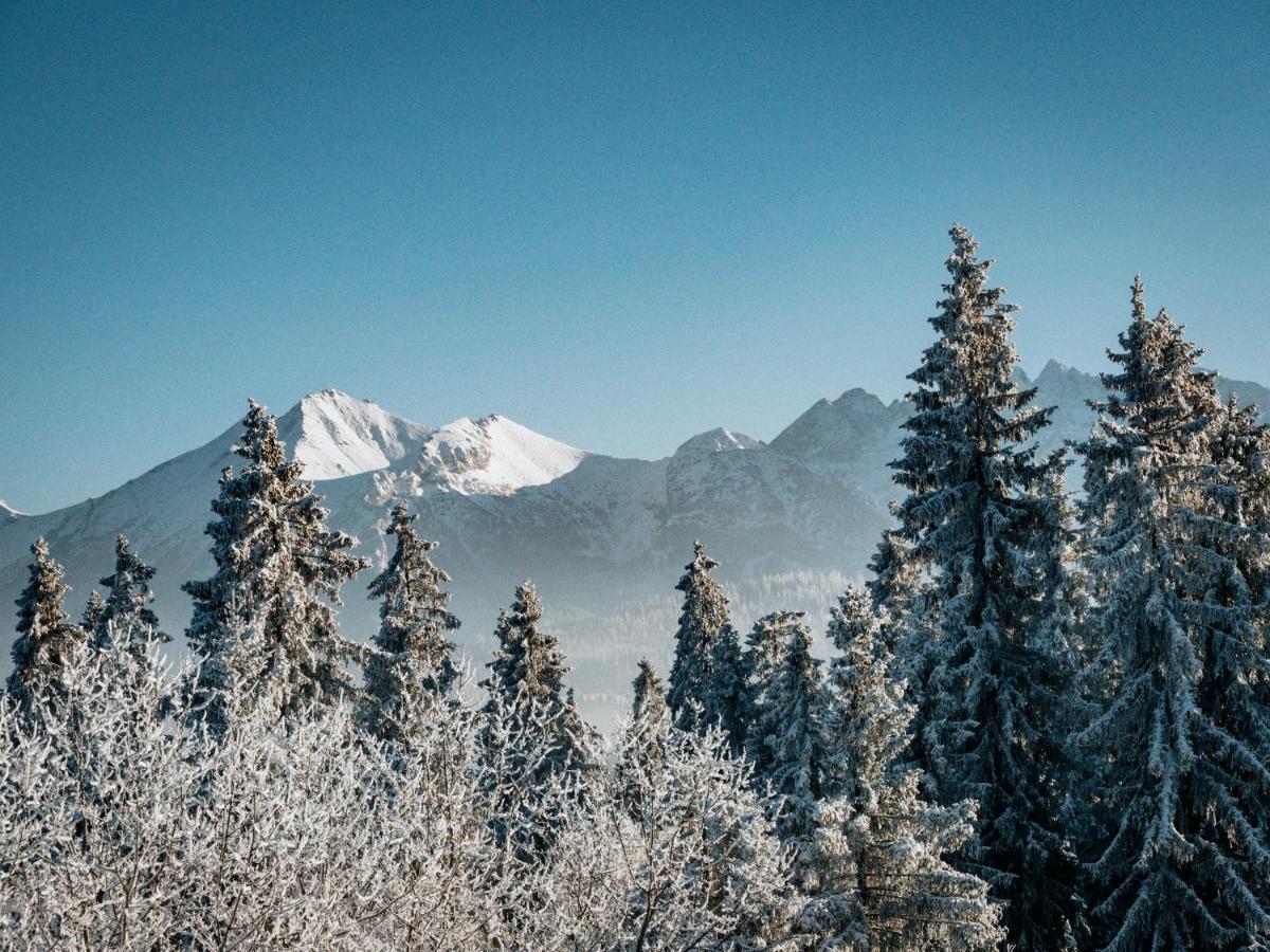 Willa Pachowka - Tam, Gdzie Natura Spotyka Sie Z Nowoczesnoscia Bukowina Tatrzańska Exterior foto
